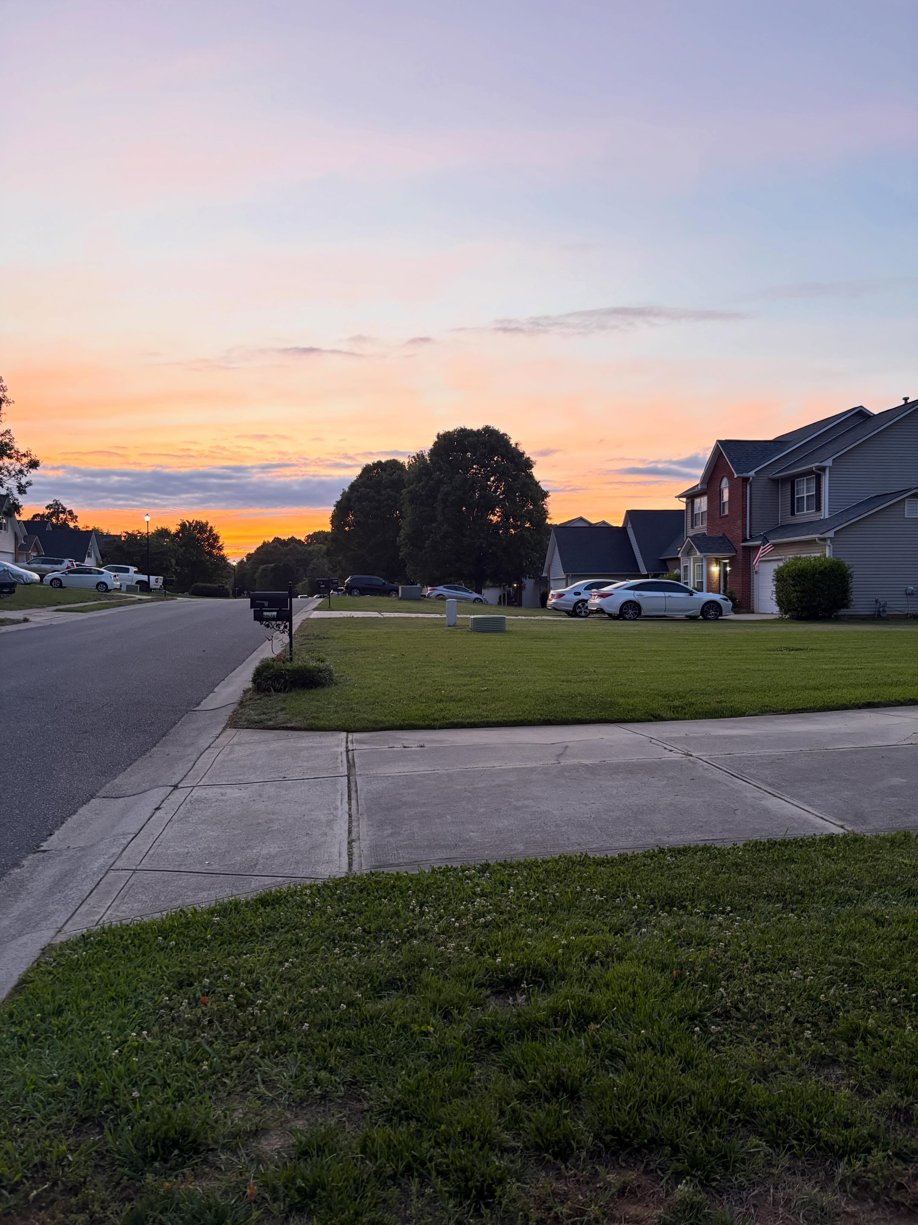 Freshly mowed lawn at sunset